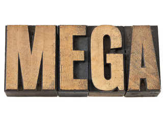 mega word in wood type