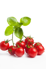 Fresh Tomato And Basil