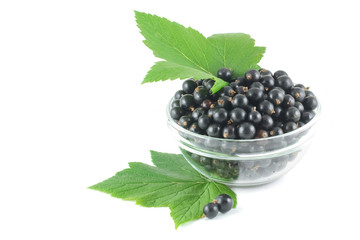 Black currant, green leaves and berries scattered