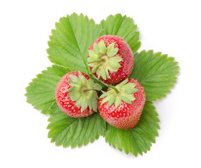 Three Fresh Strawberries with Leaves