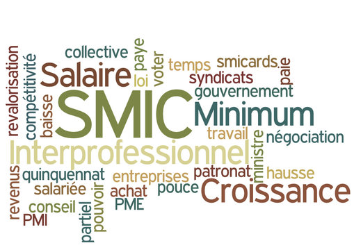 Nuage de Mots :  Smic