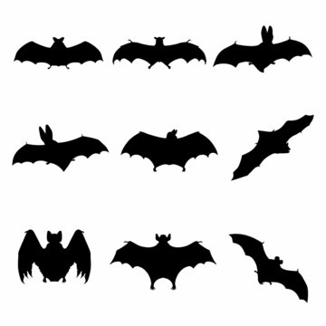 Bats Flying Silhouette detailed