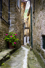 Ligurian court Color Image