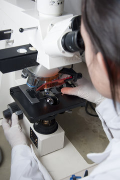 Mujer científico mirando por microscopio