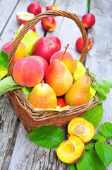 Frische verschiedene Obstsorten im Korb