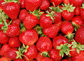 Ripe and large strawberry