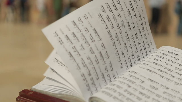 Bible book
