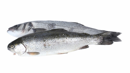 Fresh fishes isolated on white