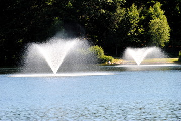 Twin Summer Fountains
