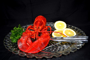 Gourmet Lobster Dinner