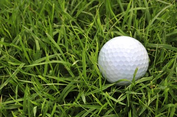 golf ball in the rough