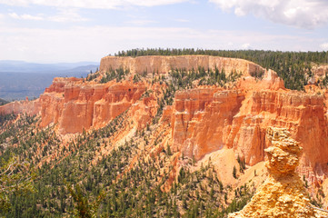 Bryce canyon vista