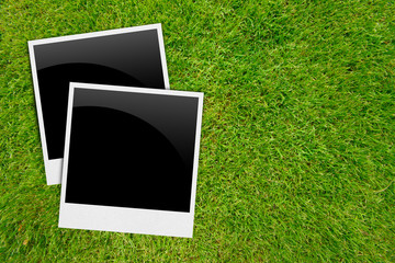 Blank photos frames on grass background
