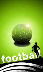 Fototapeta premium Soccer