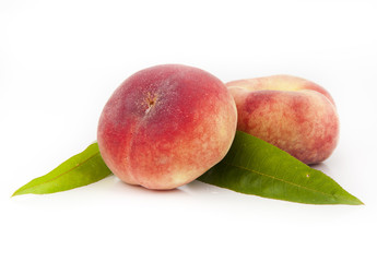 pêches sur fond blanc