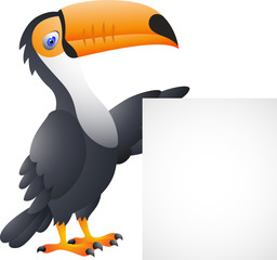 Obraz premium Toucan Bird With Blank Sign