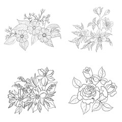 Cultivated flowers, outline, set
