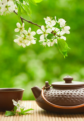 Obraz na płótnie Canvas Ceramiczny czajniczek i gałęzi drzewa kwitnienia