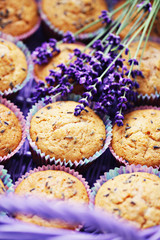 lavender muffins