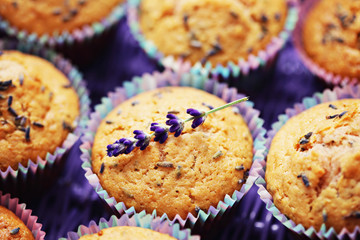 lavender muffins - 42724914