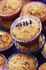 lavender muffins