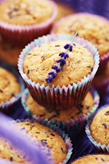 lavender muffins