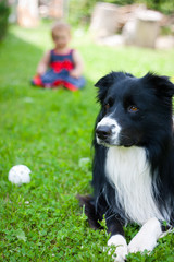 Family dog outdoors in the garden with the baby child