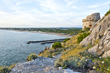 Torre Paola- Sabaudia