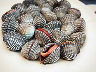 Cockle on dish
