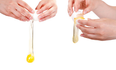 Hands cracking up a raw egg isolated on a white background