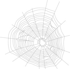 spider black web illustration
