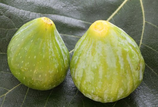 fichi su foglia di fico