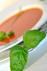 Frische Tomatensuppe