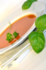 Tomatensuppe mit Kräutern