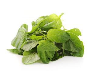 Spinach on white background