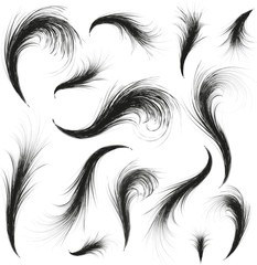 feathers silhouettes