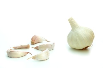 garlic