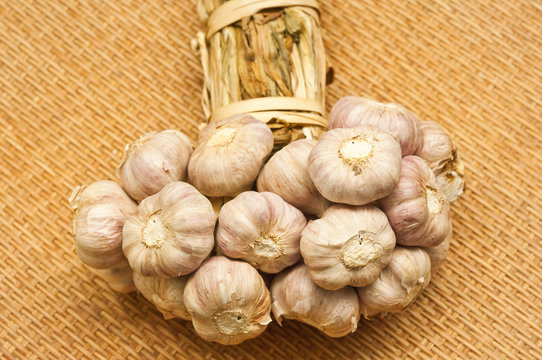 garlic