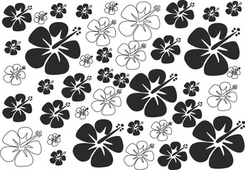 Hibiscus © eyecat