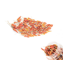 Dried red peppers on white background