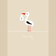 Tall Stork With Baby Boy 