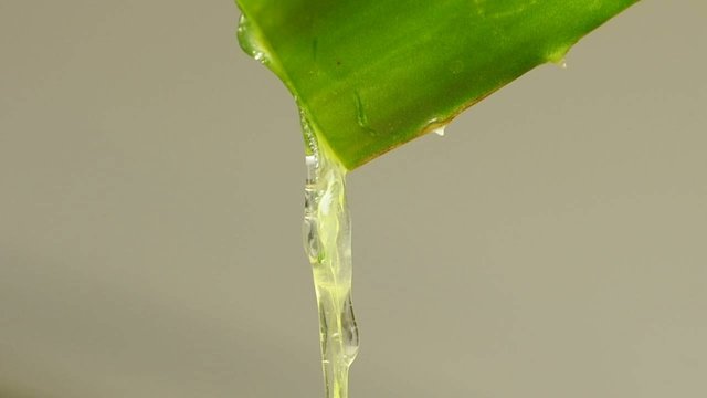 Aloe vera Saft l&auml;uft