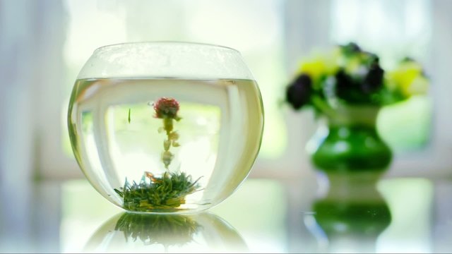 zielona herbata tea green - kwiat