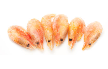 prawns on a white background