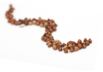 buckwheat on white background. close