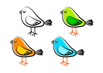 Collection of birds