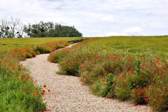 chemin de randonn&eacute;e