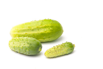Still-life with cucumbers