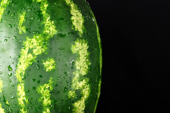 The green watermelon on a black background
