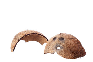 Obraz premium Coconut shell